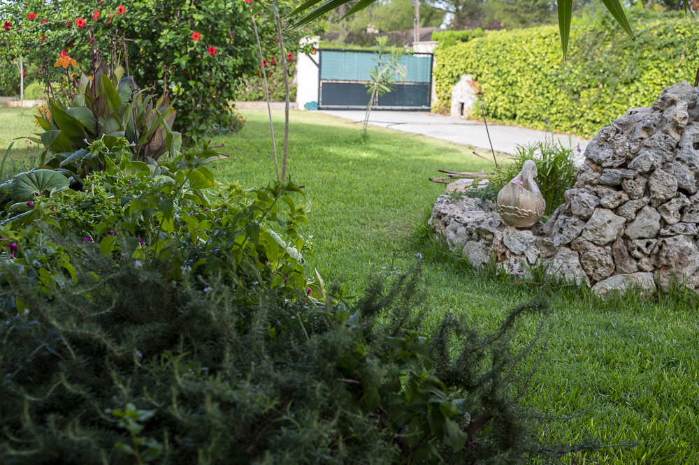 jardin de mindfulness (1)