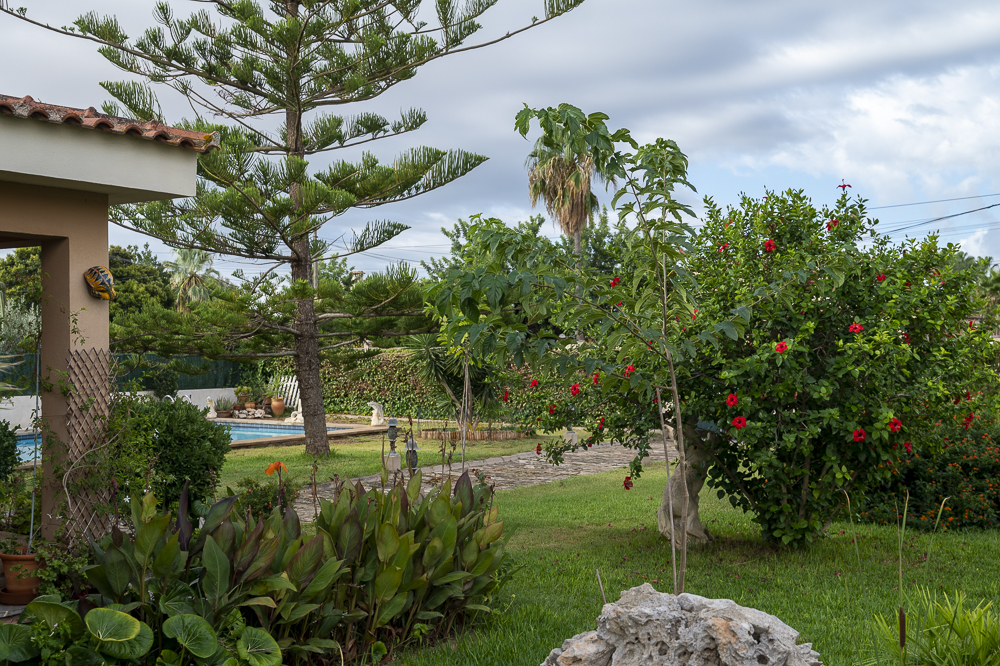 jardin de mindfulness (2)